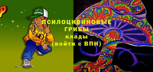 МДПВ Верея