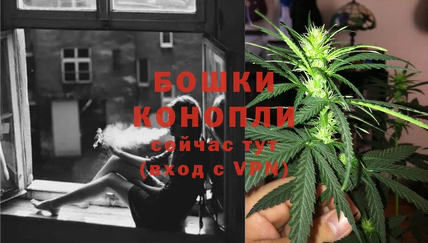 стафф Нягань