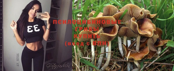 соль курить ск Верхний Тагил