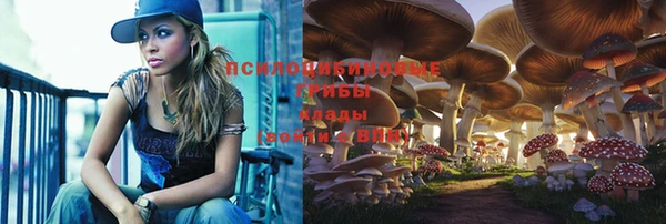 МДПВ Верея